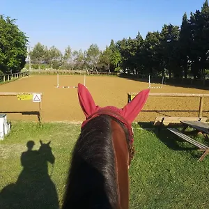 Du Poney Fringant - Prancing Pony Hébergement de vacances